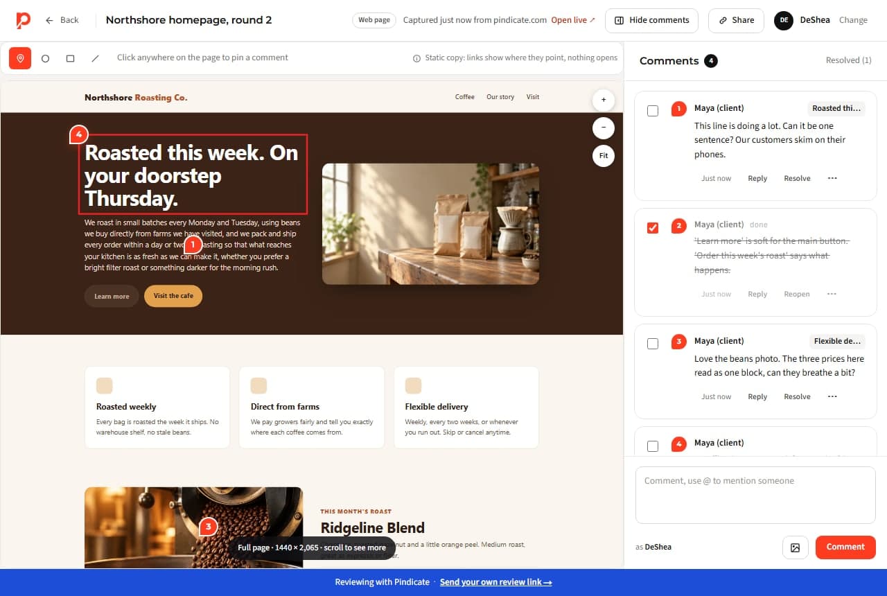 The owner view of a captured web page with one comment marked resolved