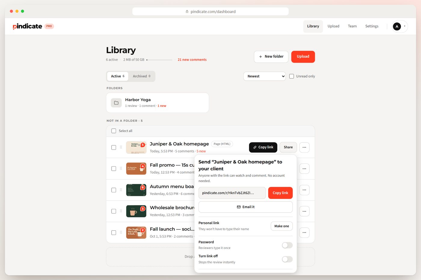 Share panel with a review link, password and personal link options