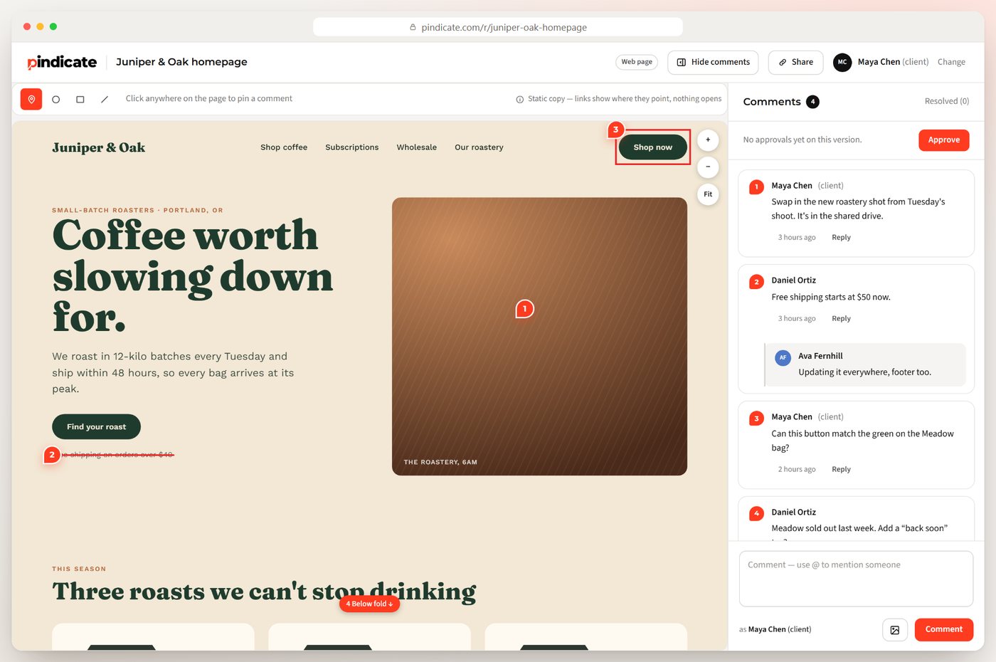 Comments pinned on a live website review